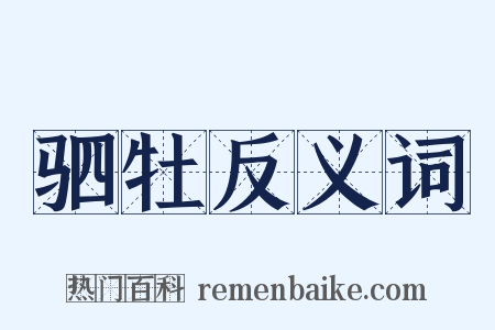 驷牡反义词是什么意思的图片